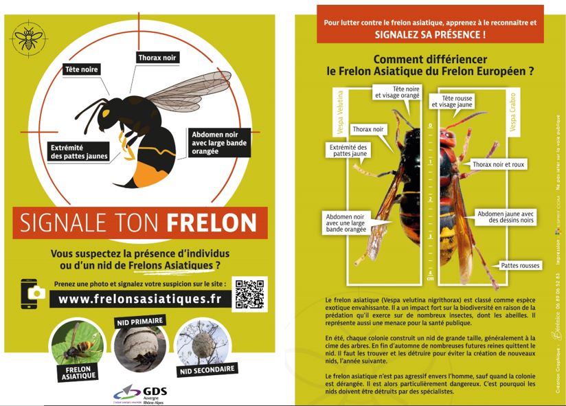 frelon_flyer